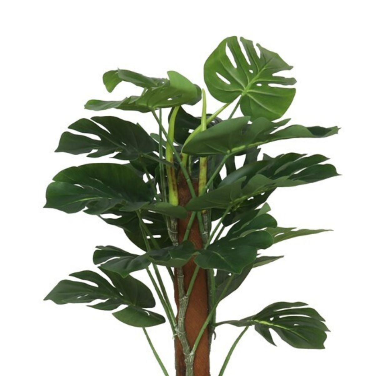 Planta-imitacion-Monstera-con-macetero-verde-Ø50x75-cm-detalle
