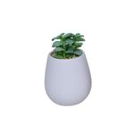 Maceta-decorativa-ceramica-lila-18x8-cm