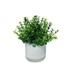 Maceta-decorativa-Eucalipto-verde-Ø16x18-cm-fondo-blanco