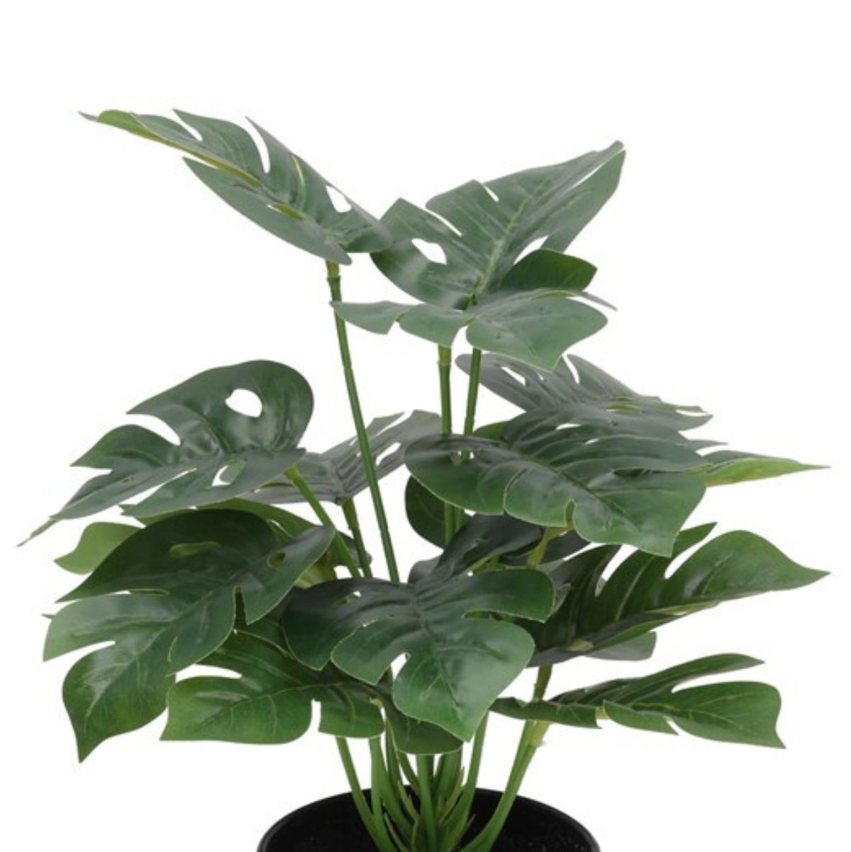 Maceta-decorativa-Monstera-verde-Ø27x35-cm