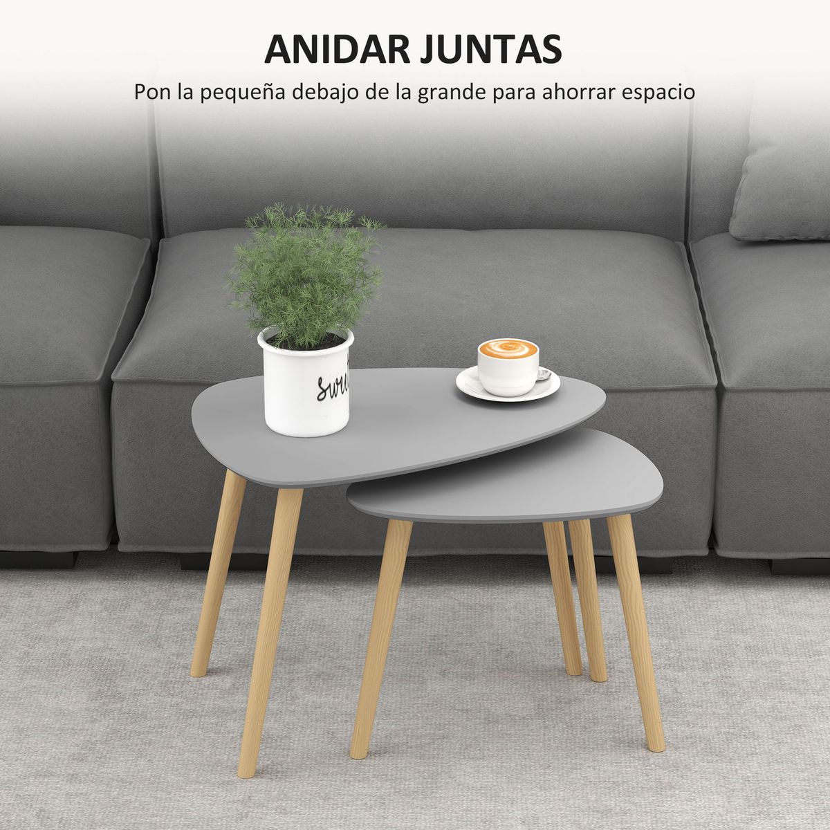 Set-de-2-mesas-auxiliares-Bird-Homcom-gris-natural