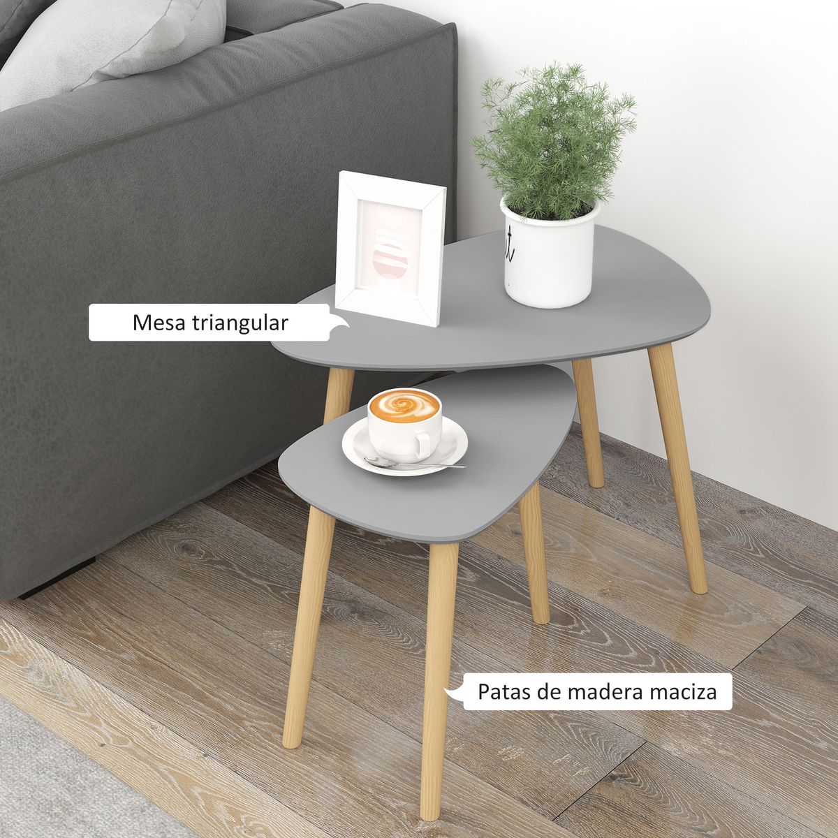 Set-de-2-mesas-auxiliares-Bird-Homcom-gris-natural
