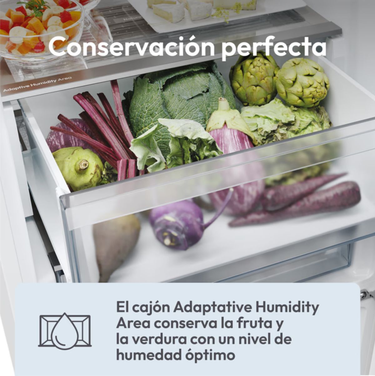 Frigorifico-combi-Candy-Fresco-500-No-Frost-355L-E-blanco-185-cm-cajones