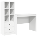 Escritorio-Monstera-6-compartimentos-abiertos---2-cajones-blanco-100x50-cm