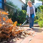 Soplador-de-hojas-Cecotec-AirForce-2in1-MultiFunction-3000W-2-tubos-intercambiables-negro-