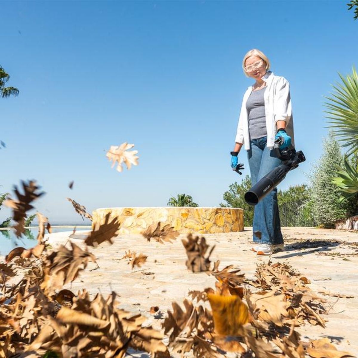 Soplador-de-hojas-Cecotec-AirForce-2in1-MultiFunction-3000W-2-tubos-intercambiables-negro-