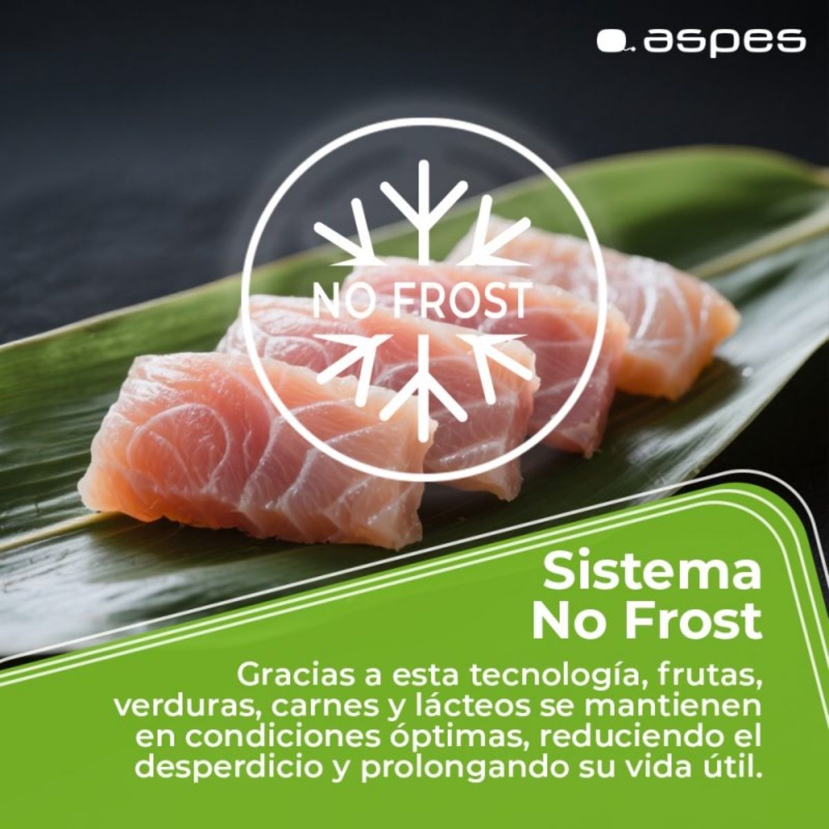 Frigorifico-combi-Aspes-AC185601ENF-No-Frost-304L-E-blanco-186-cm