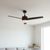 Ventilador de techo Milos 70W 3 aspas con mando a distancia negro Ø121 cm