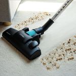 Aspirador-de-trineo-Conga-Powerbag-2000-Compact-Plus-800W-2L-negro-
