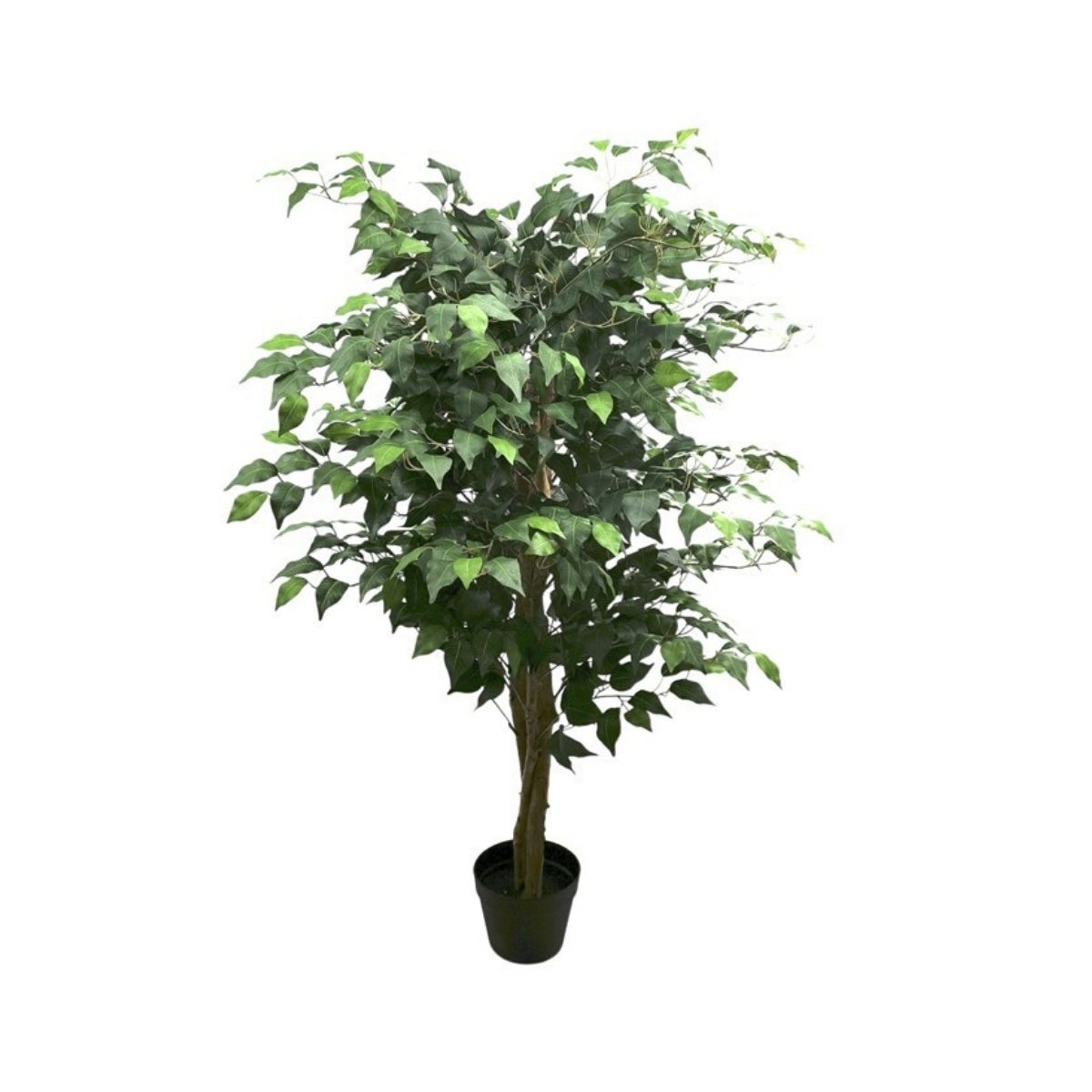 Planta-artificial-Ficus-can-maceta-verde-120-cm-fondo-blanco