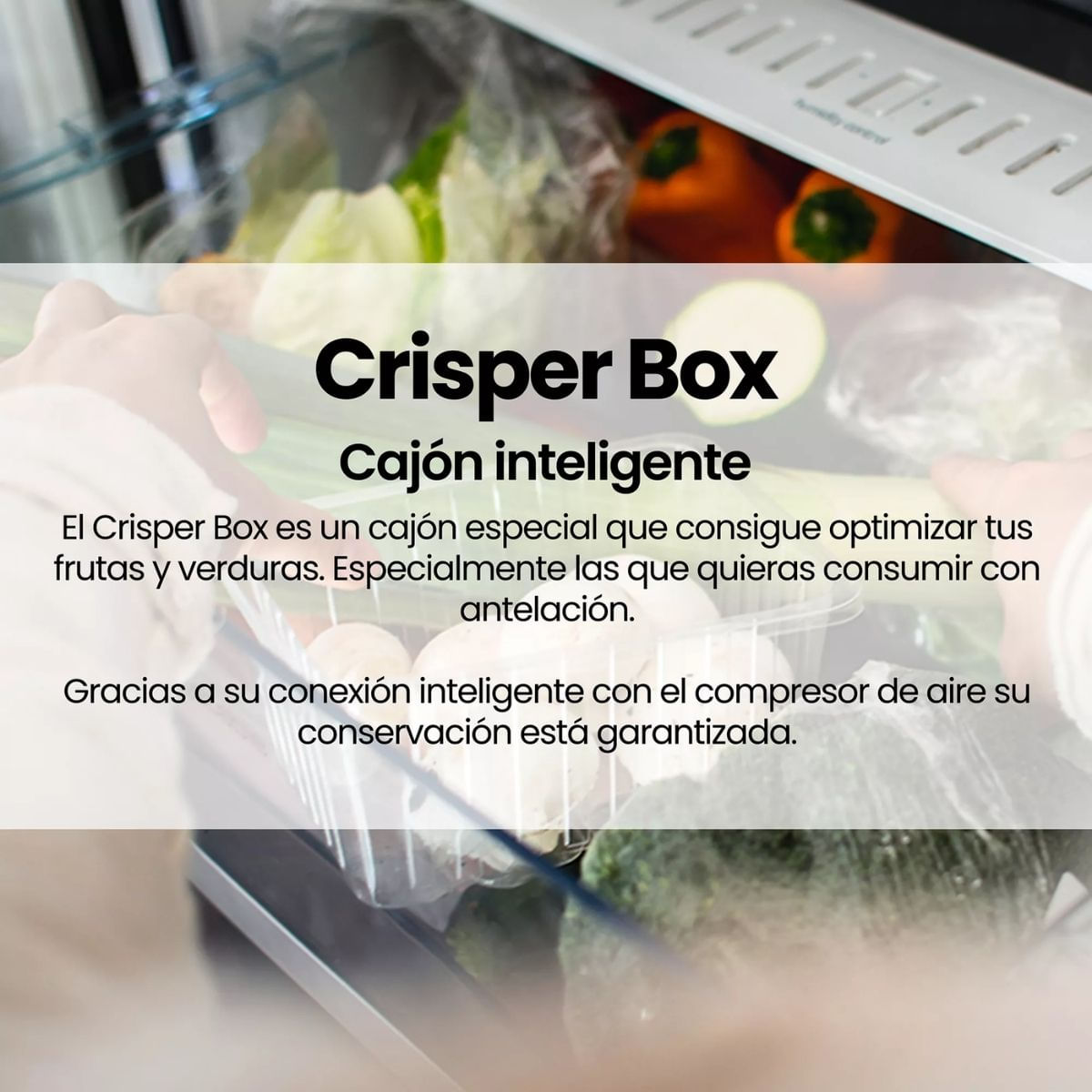 Frigorifico-bajo-Infiniton-CL-92L8WEV