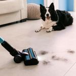 Aspirador-vertical-Cecotec-Conga-Rockstar-3500-Storm-Pet-Flex-500W-antienredos-negro-azul-