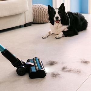 Aspirador vertical Cecotec Conga Rockstar 3500 Storm Pet Flex 500W antienredos negro/azul