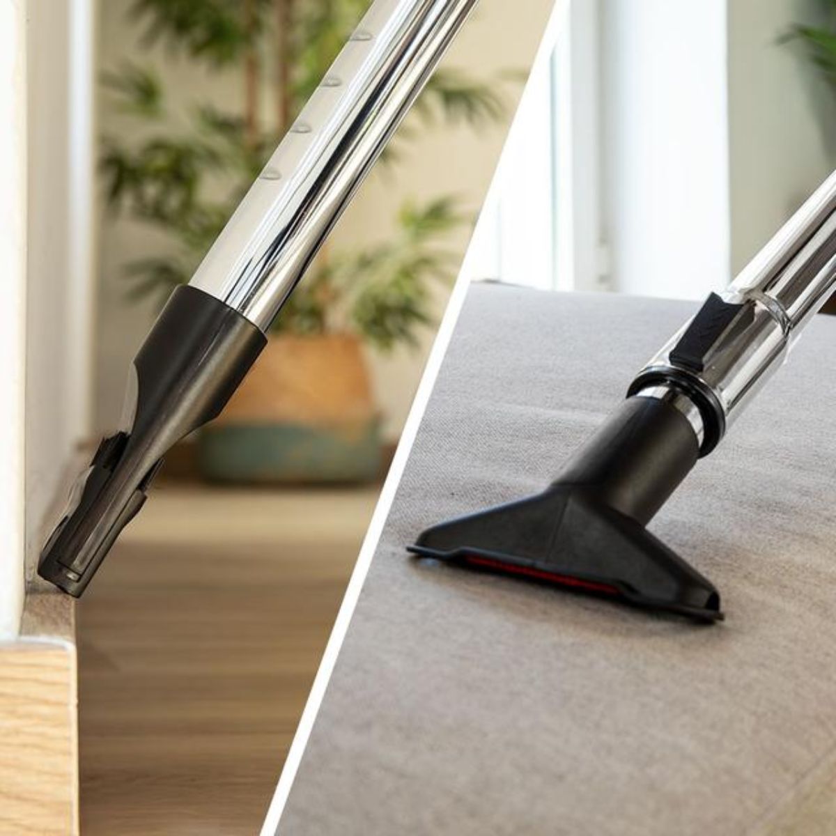 Aspirador-de-trineo-Cecotec-Conga-Rockstar-Cyclonic-Plus-800W-sin-bolsa-2L-negro-azul