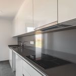 Vitroceramica-Edesa-EIM6330-B-A-3-fuegos