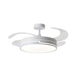 Ventilador-de-techo-Robin-fondo-blanco