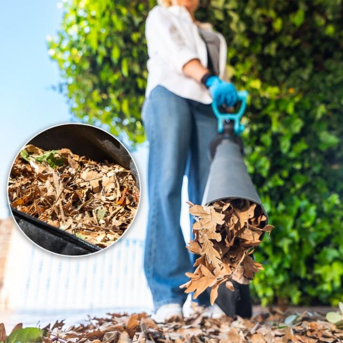 Aspirador-soplador-Cecotec-AirForce-3300-Crush-Go-soplador