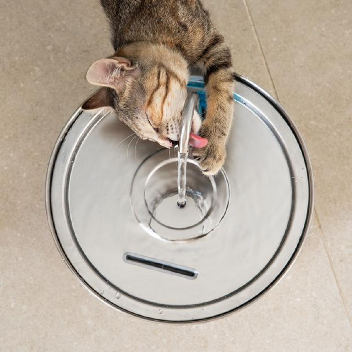 Fuente-de-agua-mascotas-Cecotec-Pumba-3200-Refresh-32L-acero-inox