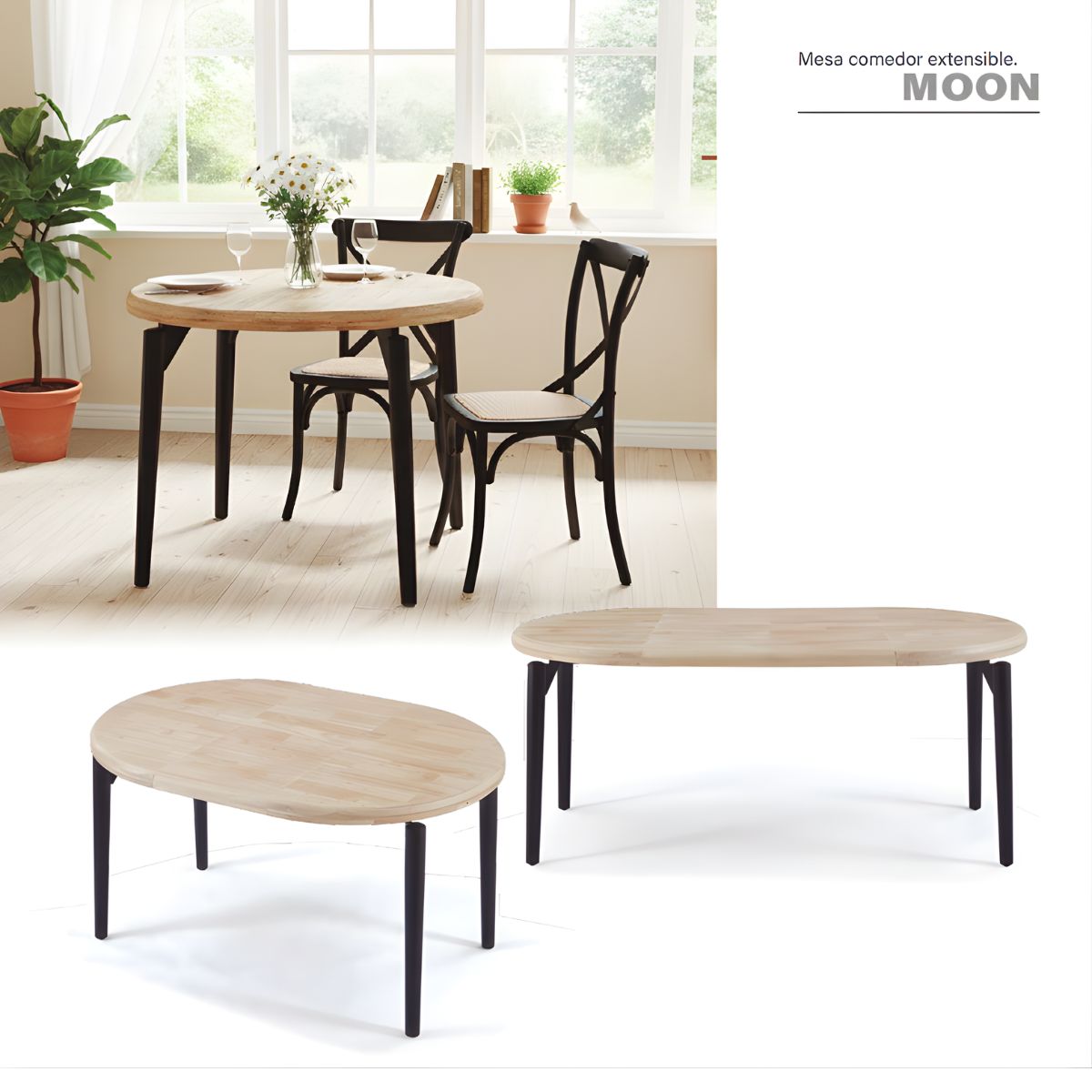 Diseno sin titulo - 2026-02-02T122213.878