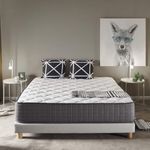 Colchon-Biotherapy-viscoelastica-11-zonas-nucleo-de-alta-densidad-blanco-200x200-cm