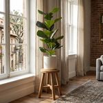 Planta-artificial-Ficus-con-macetero-verde-blanco-72-cm-