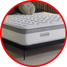 Categoria activa de Embargos a lo bestia