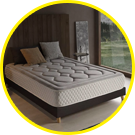 Categoria activa de Embargos a lo bestia