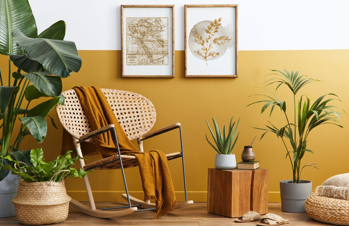 Imagen de embargosalobestia