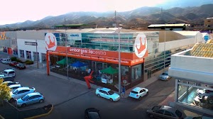 Store Embargosalobestia Lorca