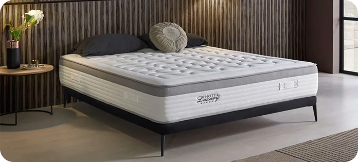 Categoria activa de Embargos a lo bestia